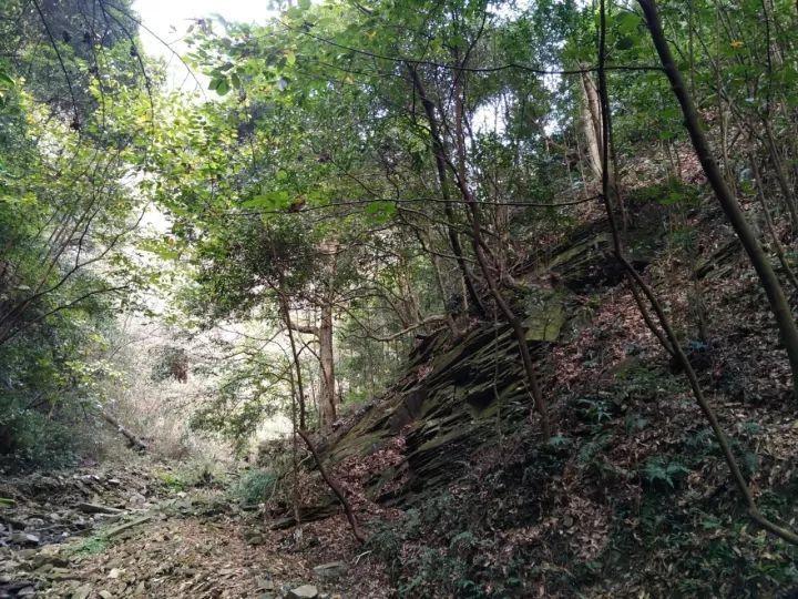 【财经早报】万科澄清偷漏税举报；宁德时代、比亚迪遭美军方禁止采购